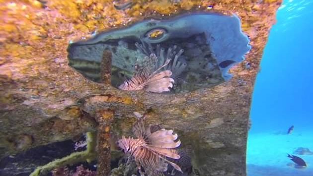 Эйлат: Eilat Oct 2013