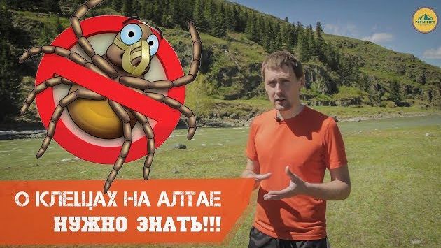 Май, Горный Алтай: О клещах на Алтае. Нужно знать!!!