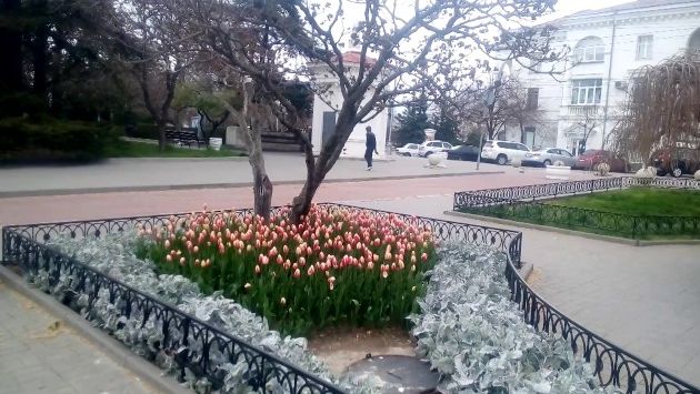 Апрель Севастополь