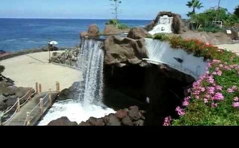Октябрь, Тенерифе: Puerto de La Cruz,Tenerife.Black Playa Jardin and Punta Brava in october sun 2009