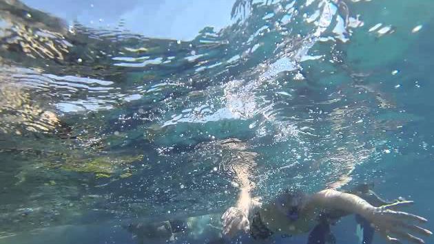 Шарм эль Шейх: Holiday in Sharm El Sheikh - Egypt