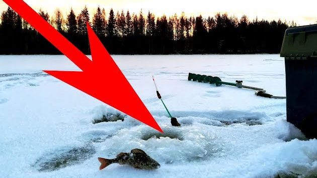 Секрет первого льда в Карелии. Ноябрь. Сезон 2018-2019.