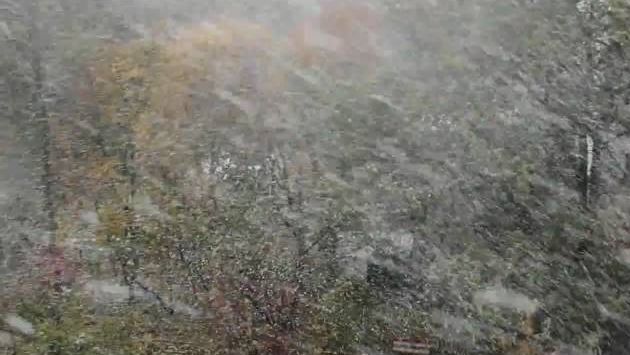 Октябрь: Москва. Первый снег ...или капризы природы