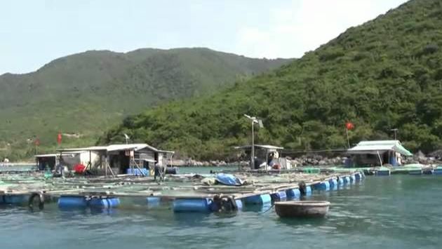 Вьетнам в феврале: Nha Trang  Island Hon Tre  Vinpearl  Feb  2011   YouTube