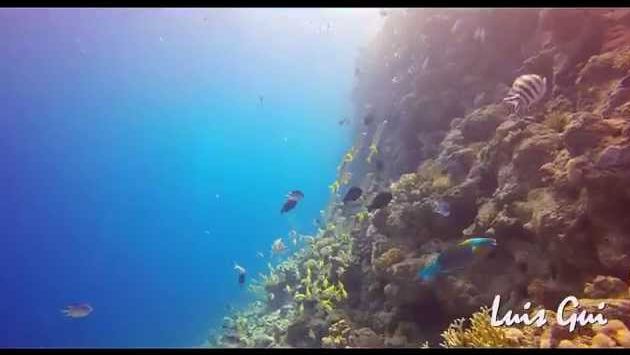 Хургада в июне: Liveaboard Mar Vermelho, Egipto - Video 7