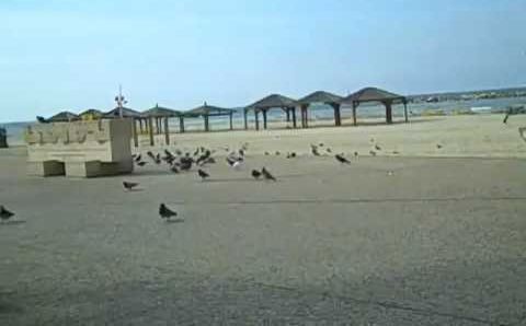 Январь, Израиль: Tel Aviv beach - January 2009