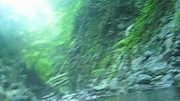 Июнь в Лазаревском: Лазаревское Свирское ущелье! Красотища!!!