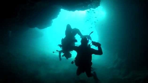 Тенерифе в апреле: Diving in Tenerife (April 2012) - Day 3