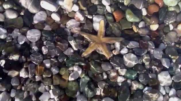 Апрель , Palmet Resort hotel.