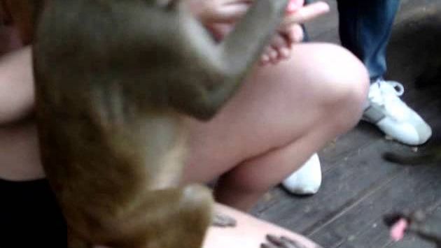 Поездка на о  Хайнань январь 2013