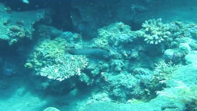 Бали, Апрель: April 26 - 4 Tulamben