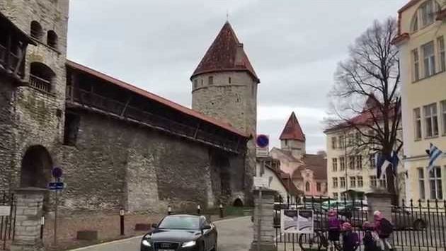 В цвете. Эстония. Таллин. Ноябрь 2015. Estonia, Tallinn. November 2015