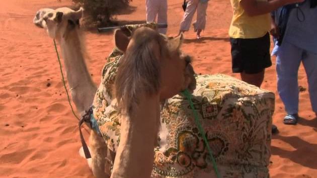 Марокко: Марокко - Маленькая сахара