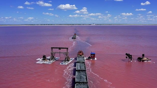 Яровое, Август: Алтай "БУРСОЛЬ" 2022