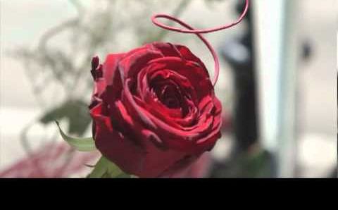 Испания: Sant Jordi Barcelona 2011