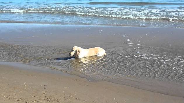 Испания, Январь: Guardamar del Segura Beach, Spain - Sun 22 January 2012