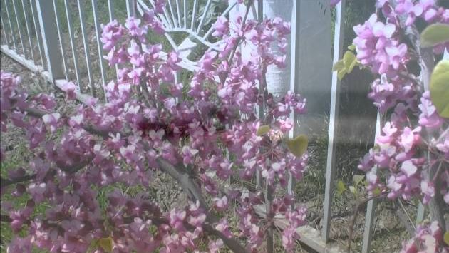 Ейск май 2013