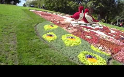 Август, Киев: Ежегодная выставка цветов, Киев, 2010